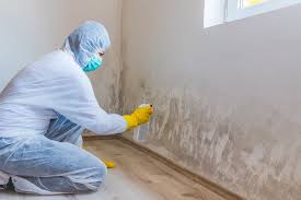 Best Biohazard Mold Removal  in Cornwall, PA