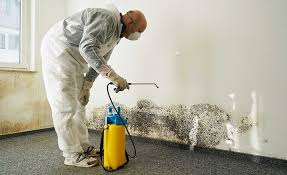 Best Water Damage & Mold Remediation  in Cornwall, PA